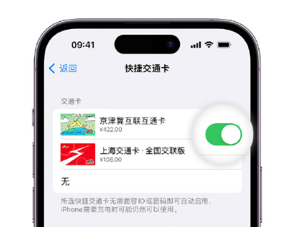 靖宇apple维修点分享iPhone上更换Apple Pay快捷交通卡手绘卡面 