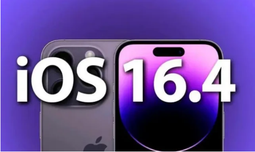 靖宇苹果14维修分享：iPhone14可以升级iOS16.4beta2吗？ 