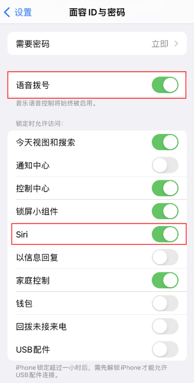 靖宇苹果维修网点分享不解锁 iPhone 的情况下通过 Siri 拨打电话的方法 