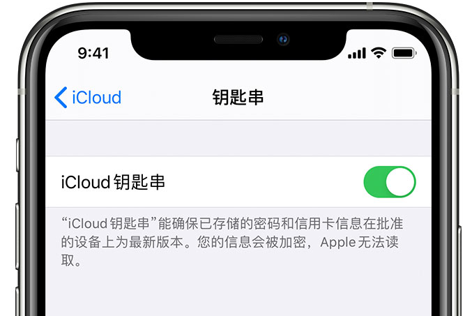 靖宇苹果手机维修分享在 iPhone 上开启 iCloud 钥匙串之后会储存哪些信息 